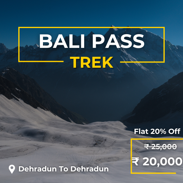 BALI PASS (1)